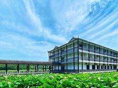 -洪湖生态旅游区