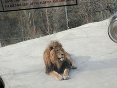 -栾川竹海野生动物园