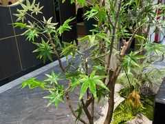-刘胖子家常菜·蹄花焖藕(中南店)