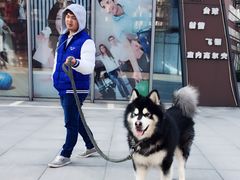 -木渎影视城