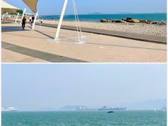 -海豚湾扬帆出海帆船游艇