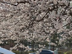 -吉林大学(南岭校区)