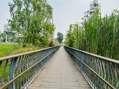 -白鹭湾湿地公园