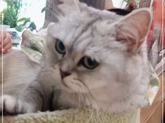 -小时光咖啡馆(北锣鼓巷店)
