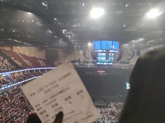 -宝能国际体育演艺中心