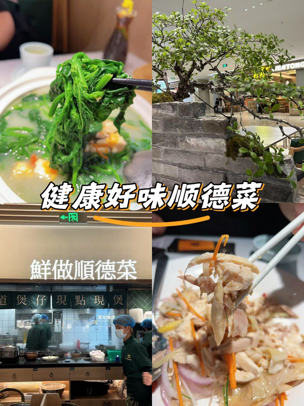 大榕树下的顺德菜