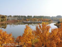 -东郊湿地公园
