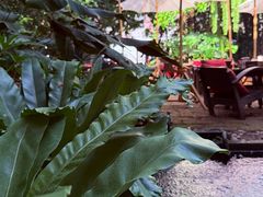 -Fern Forest Cafe