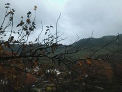 -塔川景区