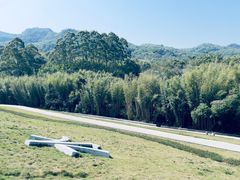 -广州市白云山风景名胜区