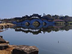 -上海海湾国家森林公园