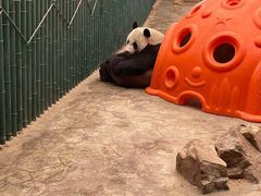 -沈阳森林动物园