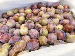 新疆西梅-水果天空(东葛店)