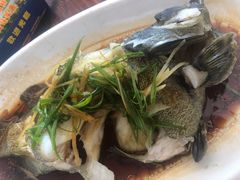 石斑鱼清蒸-八方海味餐厅