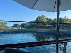 -天津湾西餐厅(三亚海棠湾洲际度假酒店)