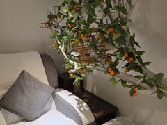 -麦子MaiMassage(打浦桥店)