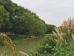 -昆山城市生态森林公园