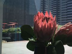 -凤凰湘语·湘粤鲜融(浦东旗舰店)