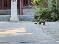 -潭柘寺景区