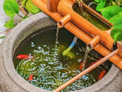 -小茶闲舍·观景商务茶馆(广州塔店)