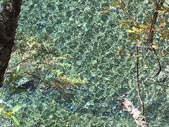 -叠溪松坪沟景区