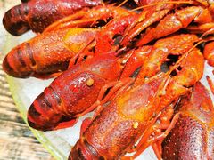 -赤甲皇(仙霞路店)