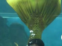 -苏州海洋馆