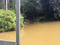 -热带雨林自然公园