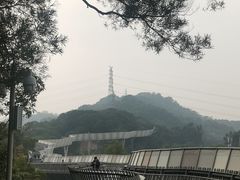 -福道