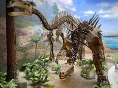 -延庆地质公园博物馆