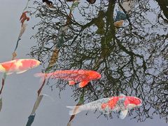 -西安市广仁寺