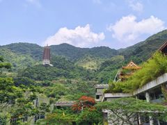 -深圳仙湖植物园