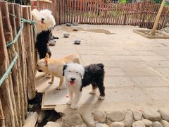 -呀路古热带植物园