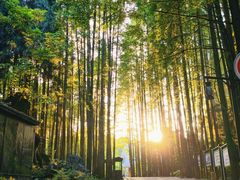 -山王坪喀斯特国家生态公园
