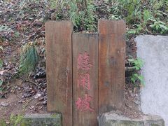 -云碧峰国家森林公园