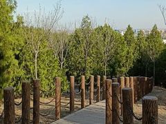 -白水寺森林公园