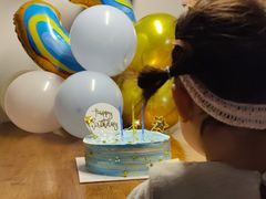 -维尔纳斯·生日蛋糕·动物奶油冰淇淋蛋糕(六里桥店)