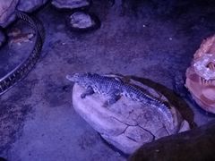 -蓬莱欧乐堡海洋极地世界