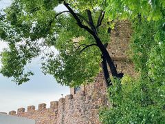 -J Create城市露营咖啡·简餐·宠物(上海动物园店)