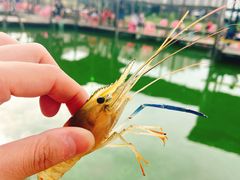 -小象钓虾·营地烧烤(洛溪店)