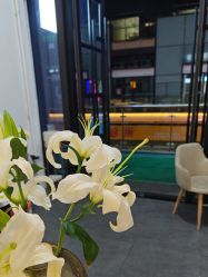 -MEMO Skin漫溯皮肤管理