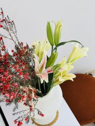 -WENDY·温迪皮肤管理