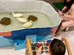 -太湖饭店玉兰厅(自助餐厅)