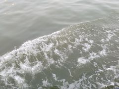 -鱼珠码头(轮渡站)