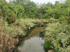 -江苏三台山国家森林公园
