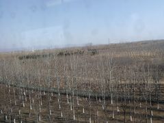 -朱辛庄(地铁站)