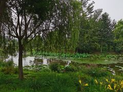 -东郊湿地公园