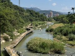 -卿园芳远·正宗石鼓白鸭汤