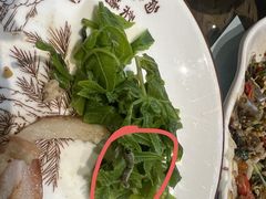 -岩保农家乐