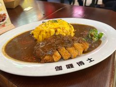 -伽喱博士 Dr.CURRY咖喱饭(太阳宫咖喱店)